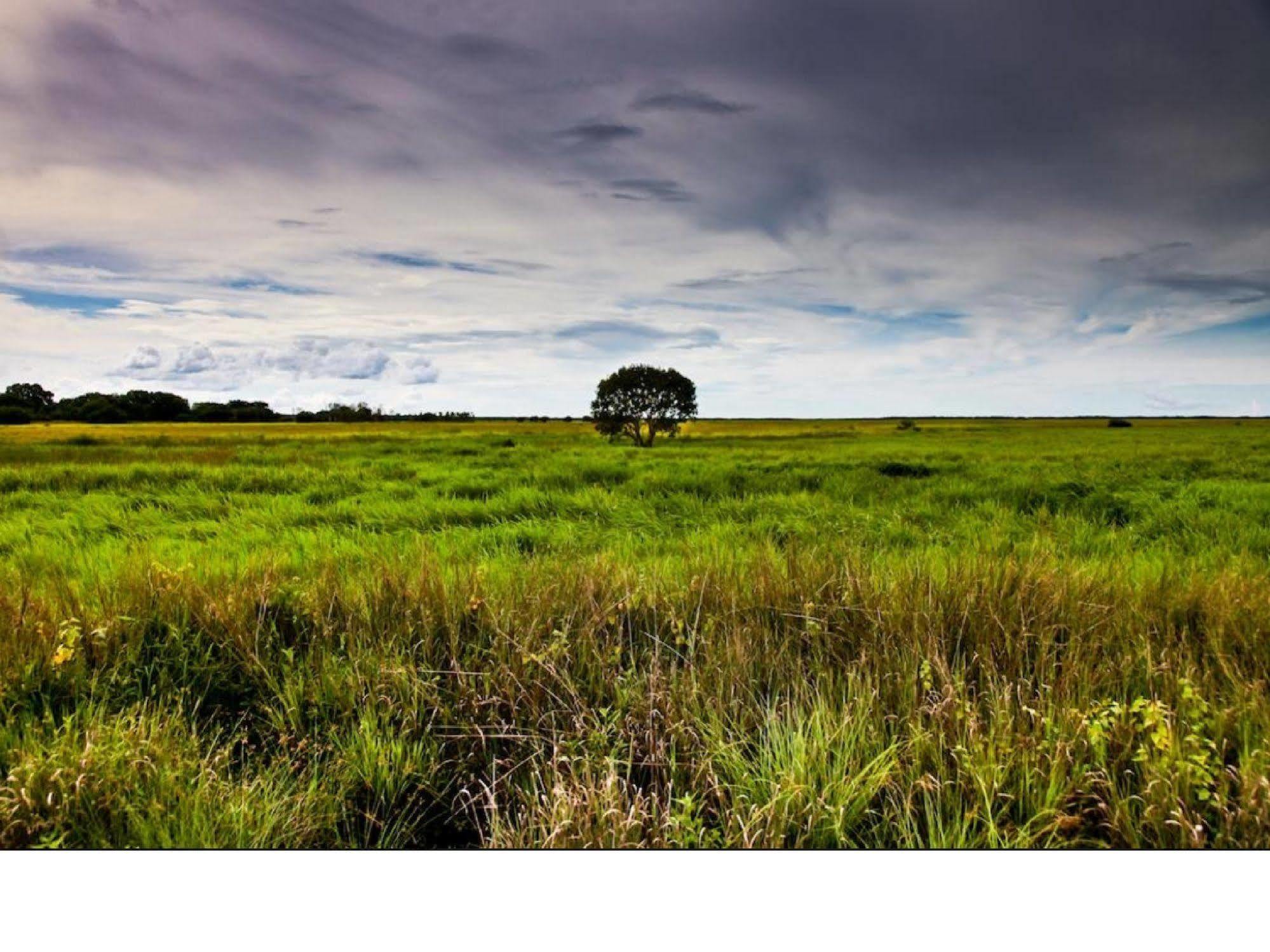 Aurora Kakadu Hotel Bagian luar foto