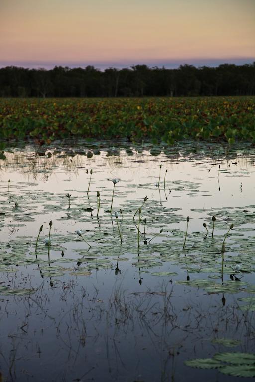 Aurora Kakadu Hotel Bagian luar foto